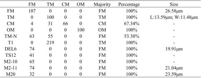 Table 1. Cell counts of different morphologies and cell size measurements in each wild type morphotype and knock out of E(z) 