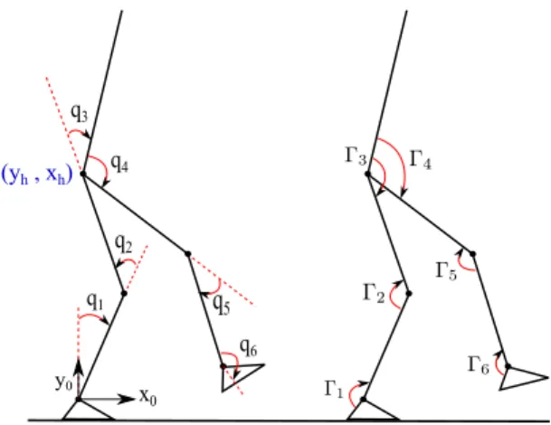 Fig. 1. Planar biped, generalized coordinates representation and applied torques