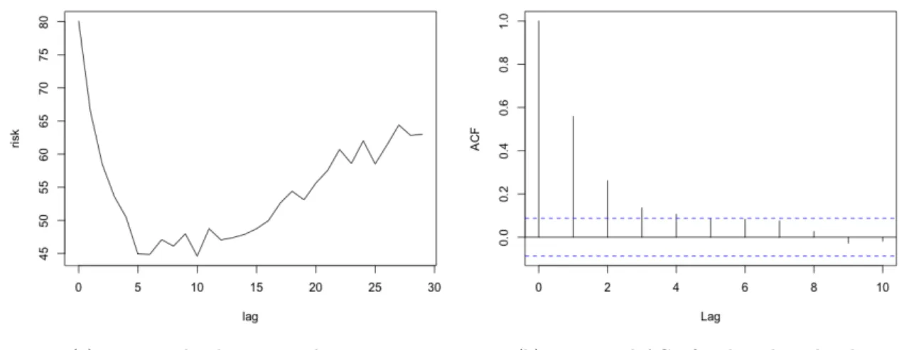 Figure 3: Plots output by slm for the kernel method with bootstrap selection of the order.