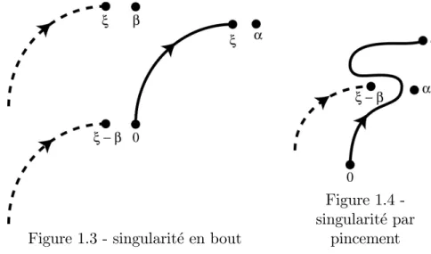 Figure 1.3 - singularite en bout