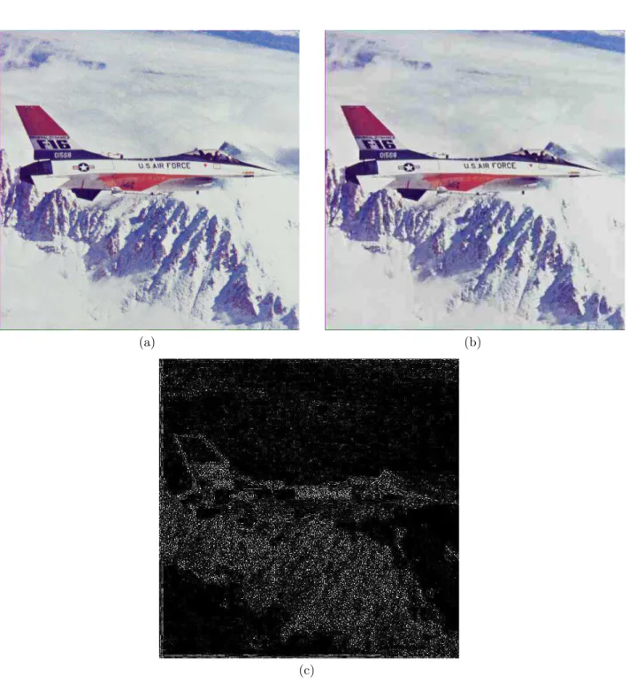 Figure 2.2 – Carte d’erreurs math´ematiques (c) entre l’image Avion originale (a), et une version d´egrad´ee (b) par un sch´ema de compression de type JPEG