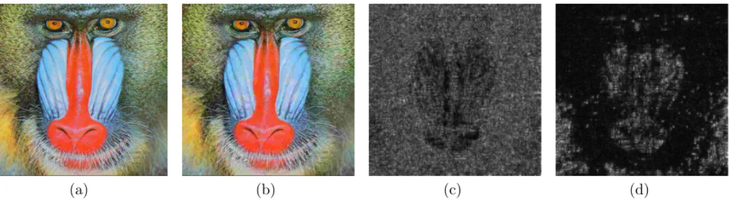 Figure 2.22 – (a) est l’image Mandrill, (b) est une version de l’image Mandrill compress´ee avec JPEG, (c) et (d) sont les cartes d’erreurs perceptuelles issues du mod`ele WQA respectivement sans et avec masquage semi-local.