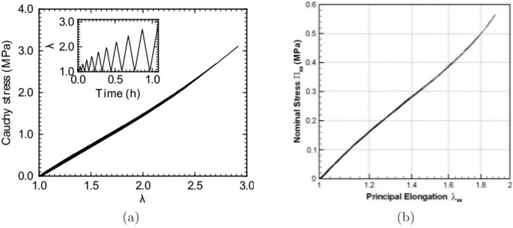 Figure 1.11 – Courbes contrainte-élongation dans le cas d’élastomères non chargés non cristallisables : (a) SBR non chargé, d’après Merckel (2012), (b) Silicone non chargé, d’après Meunier et al