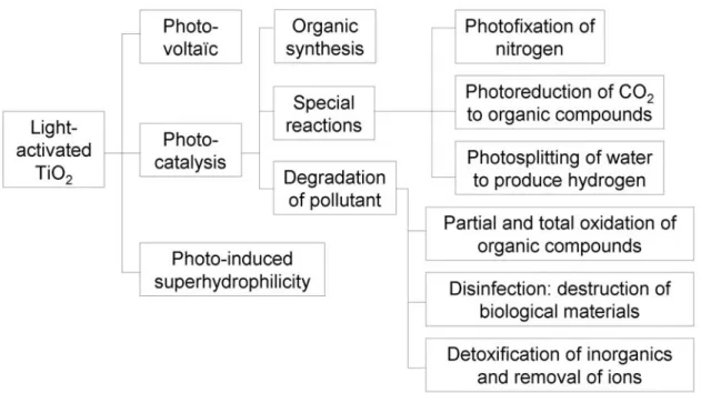 Figure 6 : Les processus photo-induits utilisant le dioxyde de titane. 48   