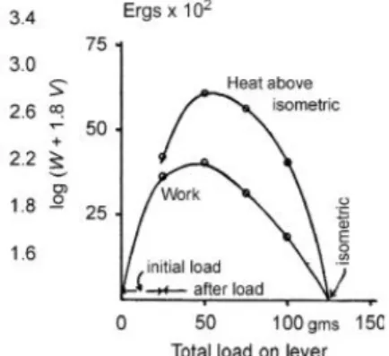 Figure 2 : Comparaison de l’évolution de  la tension en fonction du temps (en haut) et la  longueur en fonction du temps (en bas) selon  la méthode Quick Release (McMahon, 1984) 