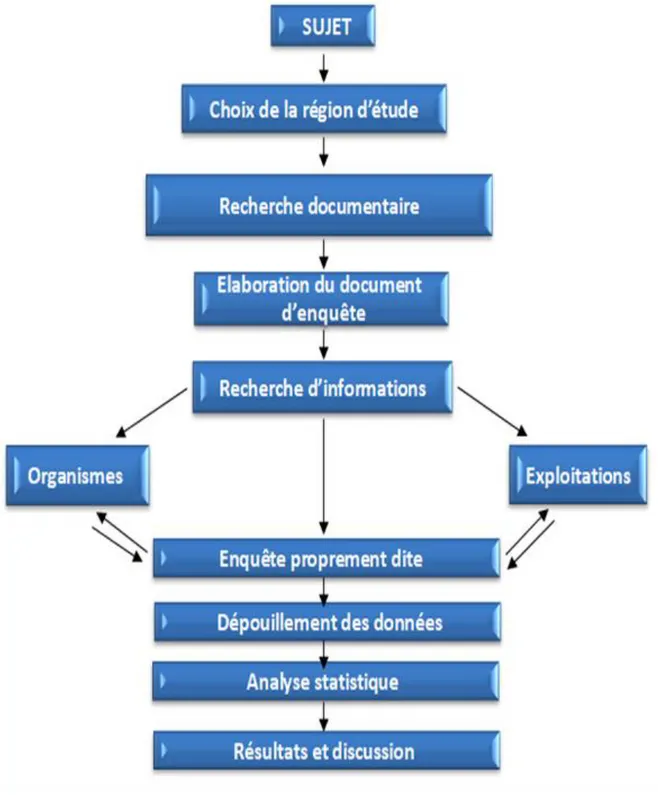 Figure 3 : Schéma méthodologique de l'étude. 