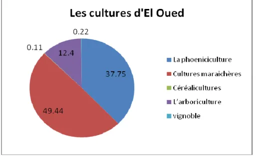 Figure 7 : Les cultures d'El Oued  II.6.3.  L’élevage et les productions animales 