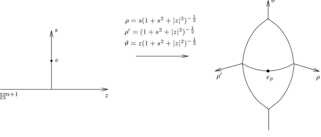 Figure 4: Une bre F