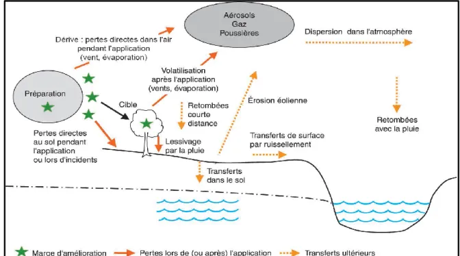 Figure 03 :.Mécanismes mis en jeu lors des épandages par pulvérisation. Les flèches indiquent  les interactions avec les différents compartiments de l’environnement                 