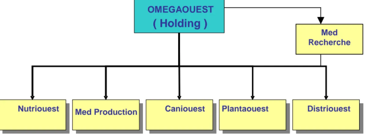 Figure 5 Organigramme du groupe 