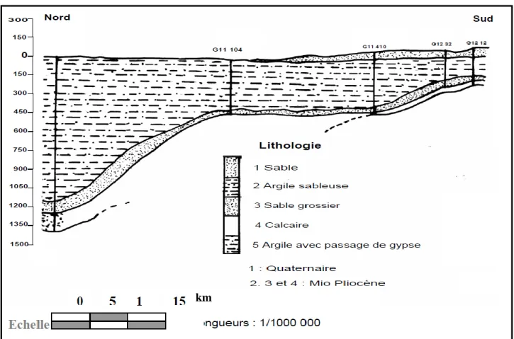 Fig. I.5: Coupe Géologique N° Extraite a partir des logs lithologiques des forages1  (A.N.R.H, 1989) 