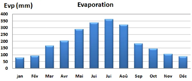 Fig I.13 : Evaporations moyennes mensuelles 