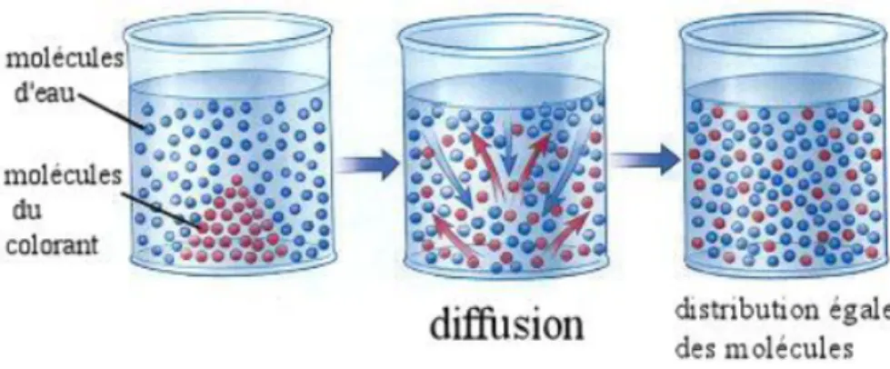 Figure 4.3 – Diffusion moléculaire