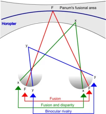 Figure 2.5: Basics of stereoscopic viewing [Pat07]