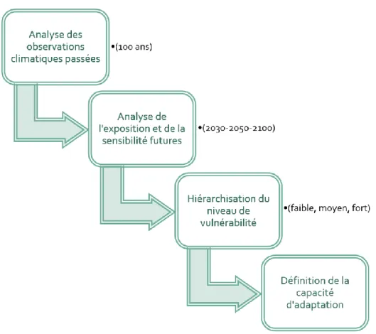 Figure 13 - Etapes de réalisation d'un diagnostic de vulnérabilité 