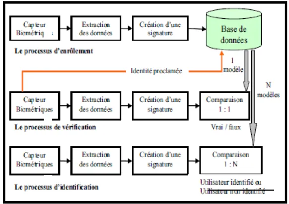 Figure .I.1 : Principaux modules d’un système biométrique ainsi que les différentes. 