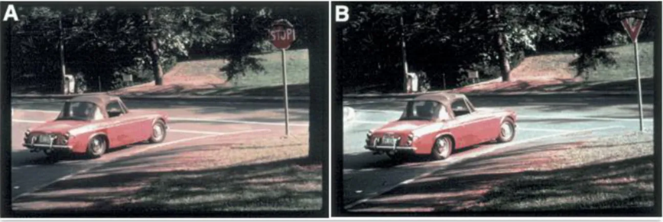 Figure 5 : Exemple de diapositives présentées dans le cadre de la recherche menée par Loftus Miller et Burns (1978)