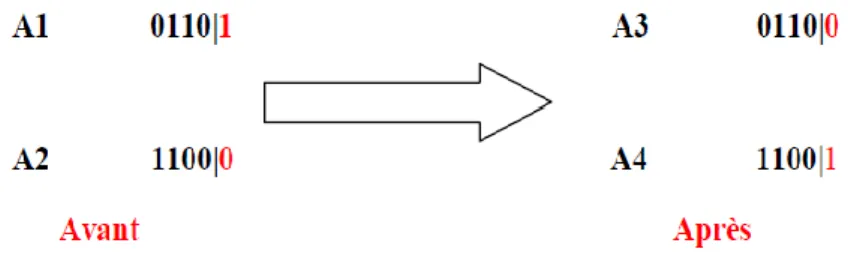 Figure III.4 : Représentation d’un croisement en un point de deux chaînes.