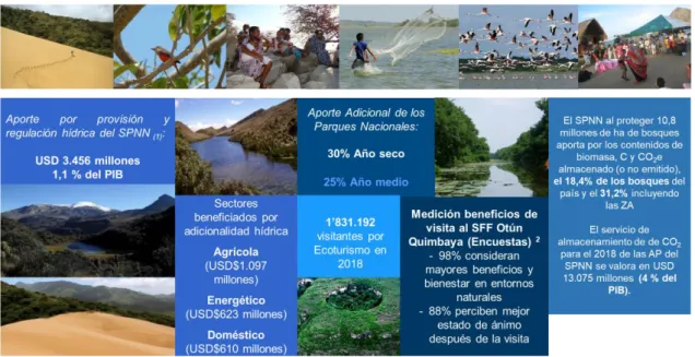 Figura 3. Aporte de Parques Nacionales Naturales al desarrollo social y económico de Colombia 