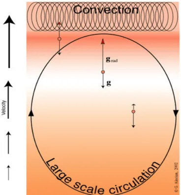 Fig. 1.2  Illustration de l'intérieur d'une étoile CP. L'abondane en surfae sera