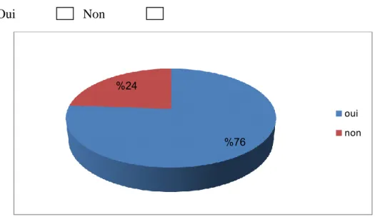 Graphique 13 : Français et relations communicatives  Analyse et interprétation:  76%24% oui non75%25%0%supérieur/subordonnécollègue/collègueautre