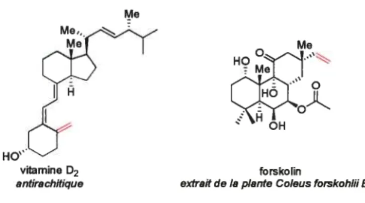 Figure 2 : Produits naturels contenant une unité méthylène