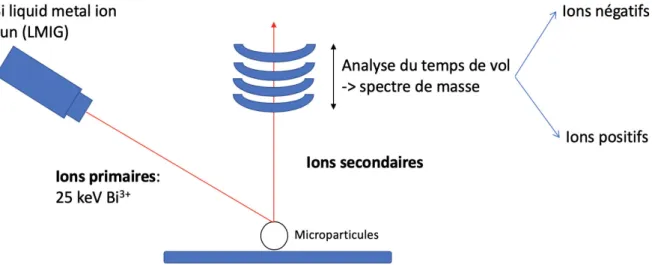 Figure 21: Principe de la Spectrométrie de Masse d'Ions Secondaires à Temps de Vol  (ToF-SIMS) 