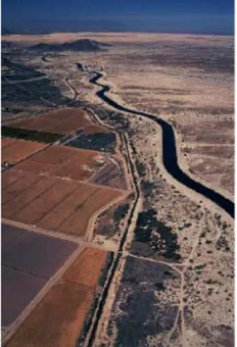 Figure 2: L' All American Canal 