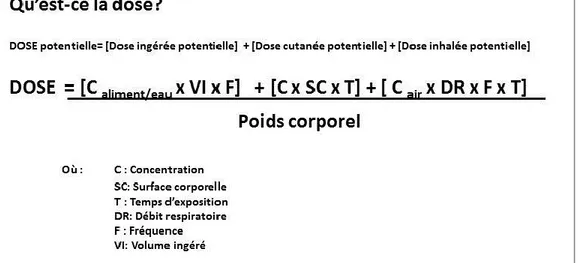 Figure 3. Calcul par défaut de la dose d’exposition pour un xénobiotique par différentes  voies (ASTDR, 2005) 