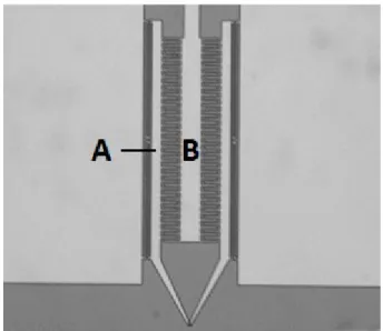 Figure 1 : Image d’un MEMS prise par un microscope électronique à balayage consituant  une micropince capable de bouger suite à l’application d’une différence de potentiel entre  les bornes A et B