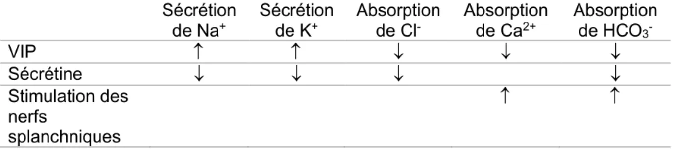 Tableau  2 :  molécules  impliquées  dans  le  contrôle  acido-basique  de  la  bile  dans  la  vésicule biliaire