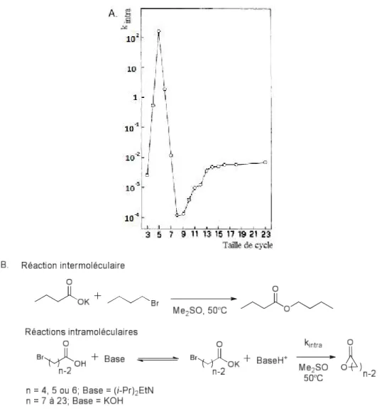 Figure 1.3 : A. Constantes réactionnelles pour la formation de lactones intramoléculaires à  partir de ω-bromoacides Br(CH 2 ) n-2 CO 2 H  23b  B