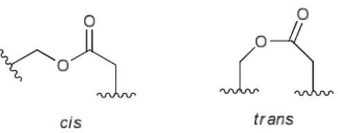 Figure 1.4 : Conformations possibles d’un groupement lactone 