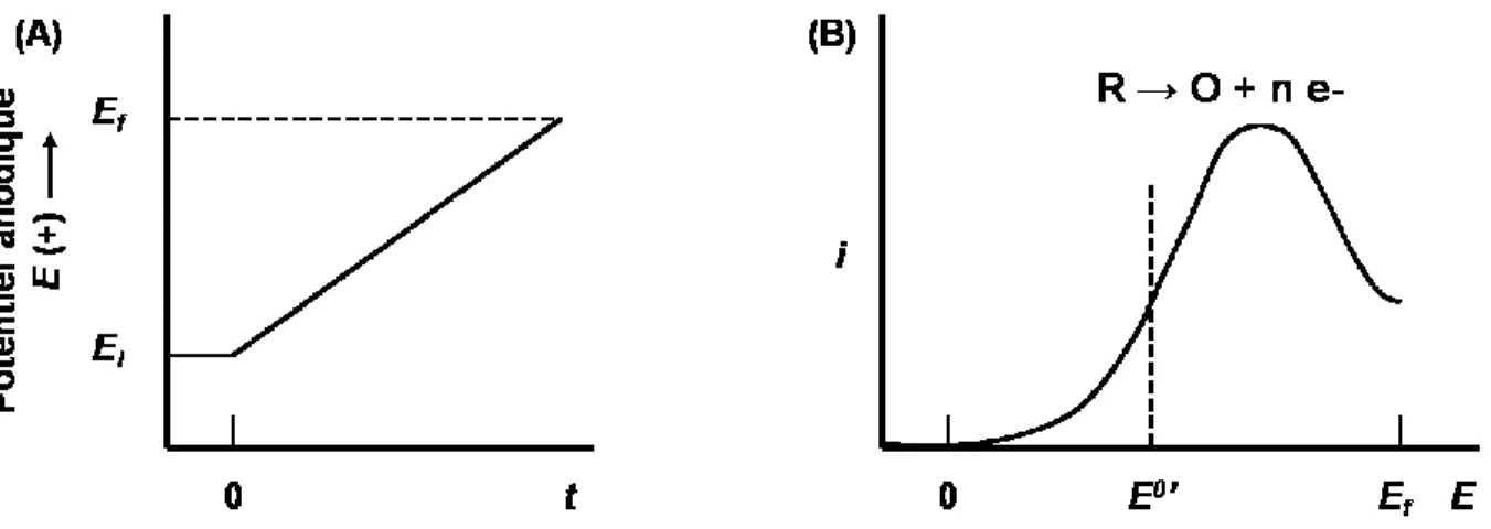 Figure  1.8  :  Voltampérométrie  à  balayage  linéaire.  (A)  Potentiel  anodique  E  appliqué  en  fonction du temps t