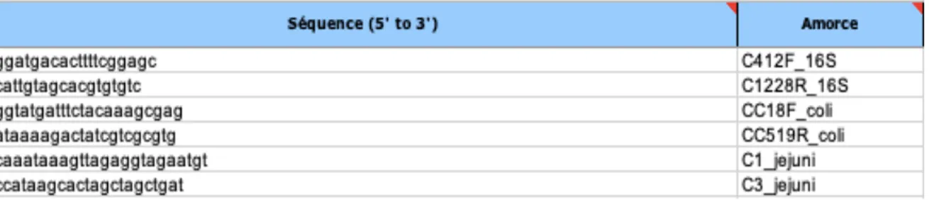 Tableau 2. Séquence des amorces utilisées pour la PCR 