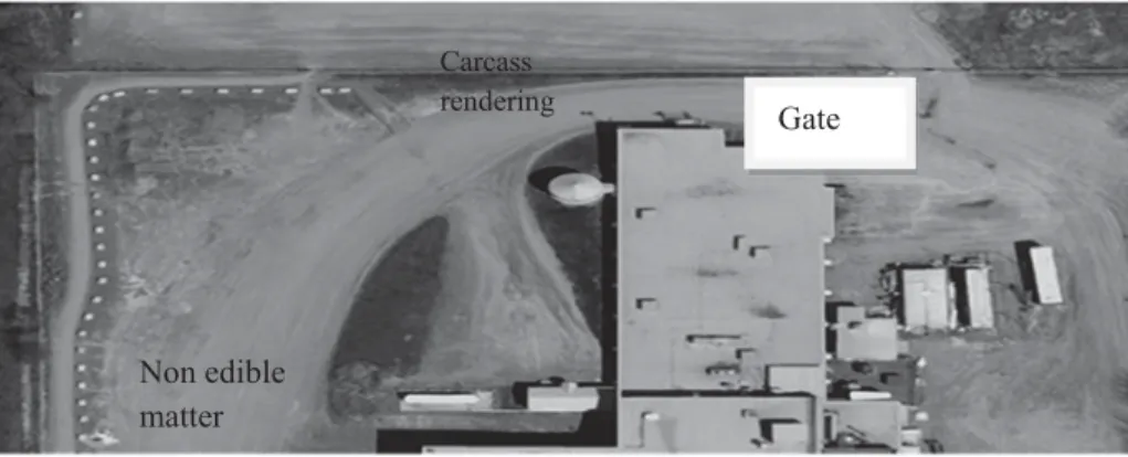 Figure 4 Illustration of Slaughterhouse yard pathways