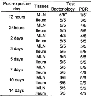 Table V. Bacteriology and multiplex PCR on selected tissues following experimental infection by S