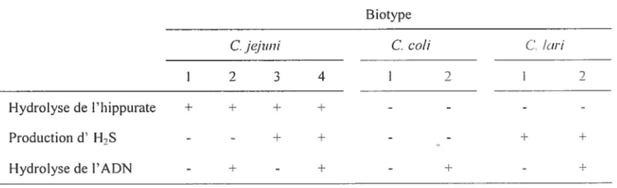 TABLEAU 2.1: Schème de biotypage de Lior pour les campylobacters thermophiles