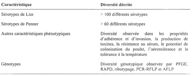 TABLEAU 2.2: Diversité des souches de Campylobacter (Wassenaar et Blaser, 1999)