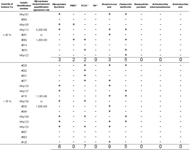 Table 2: Presence of M. hyorhinis and different viral and bacterial pathogens in 25 M
