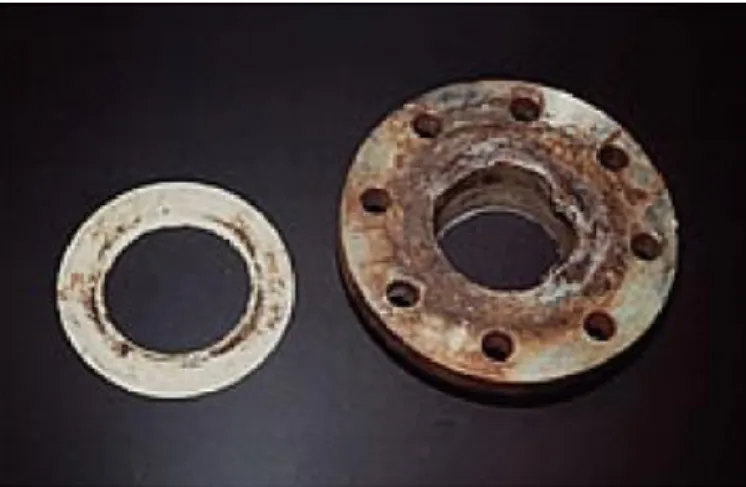 Figure I.5: Corrosion caverneuse d'un acier allié sous un joint [7]. 