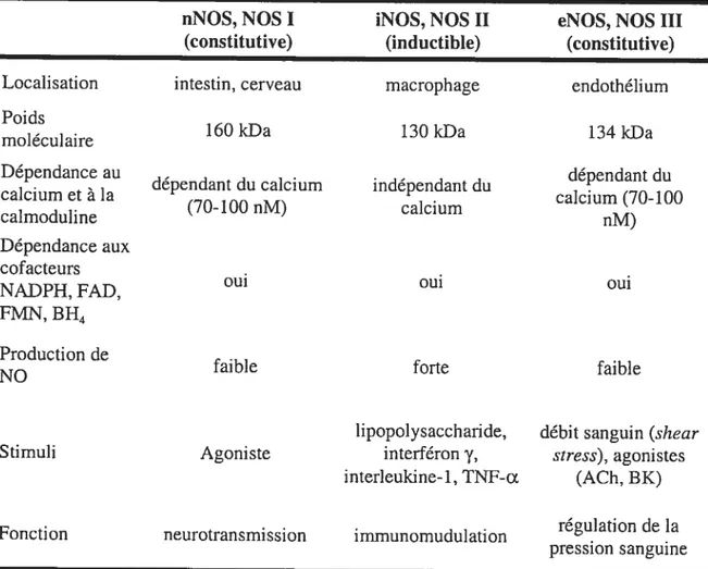 Table 1 : Caractéristiques des différents isoformes des NOS