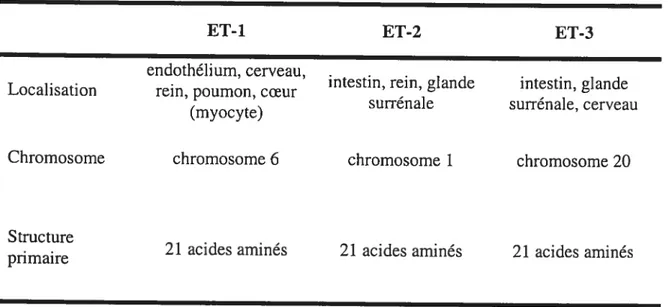 Table 2 : Caractéristiques des différents isoformes de l’endothéline
