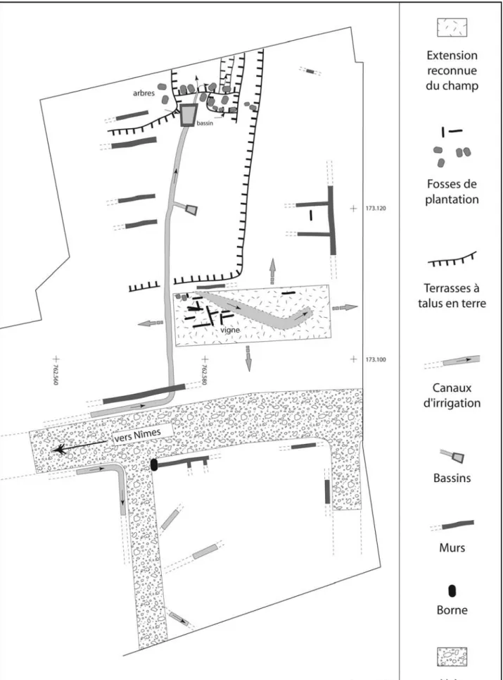 Fig. 6 : Vignoble et cultures arboricoles en terrasse dans la moyenne vallée du Vistre (fouilles de la ZAC des Halles, Nîmes, Gard, France, d’après Poupet et al