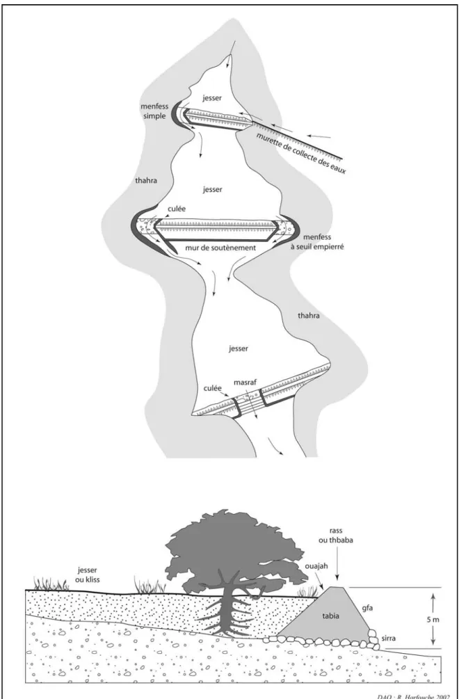 Fig. 8 : Schéma en plan et en coupe de jessour (d’après Bonvallot 1979).