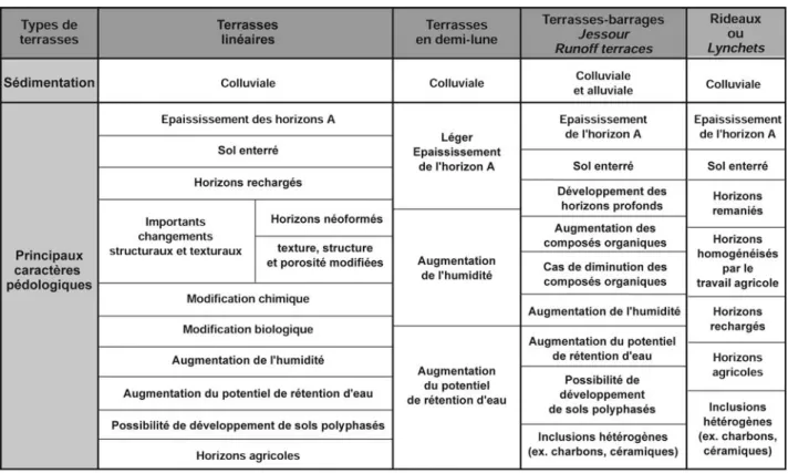Fig. 9 : Diversité des techniques et des pratiques de l’arboriculture en terrasses : processus sédimentaires, caractères pédologiques et propriétés.