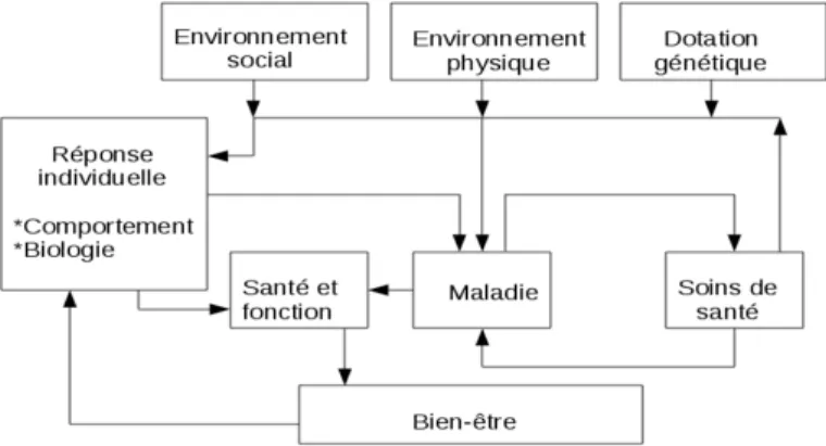Figure 1.1 – Relations entre santé et facteurs sociaux et environnementaux : Schéma de Evans et al.