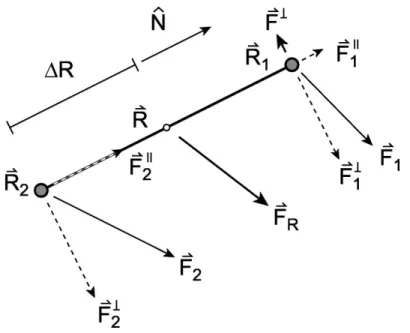 FIG. 1. Definition of the various position and force vectors of the dimer.