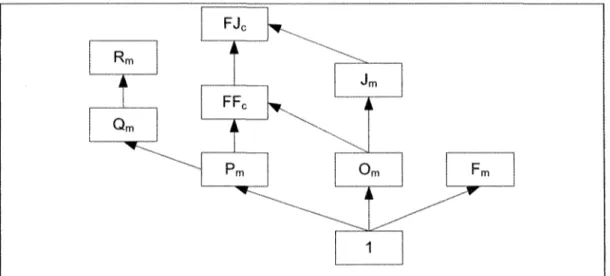 Figure 4 : Hiérarchie de la complexité en fonction de l'environnement machine