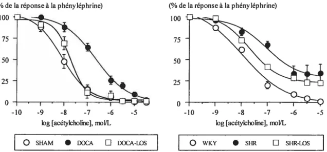Figure 5: Courbes dose-réponses à l’acétylcholine (0.1 nmoFL’ - 10 tmolC’) dans des lits vasculaires mésentériques prétraités avec de l’indométhacine, dont